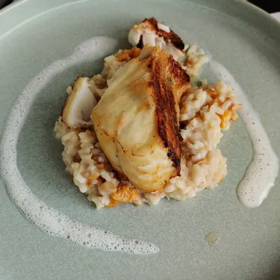 nice little chicken dish with rice wonderfully prepared