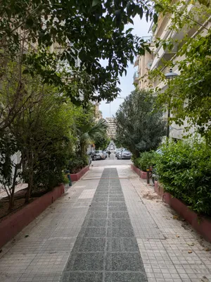quiet lane with trees and bushes on both sides almost like an avenue
